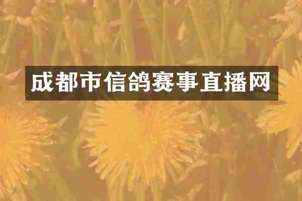 成都市信鸽赛事直播网