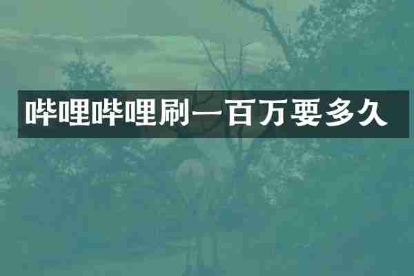 哔哩哔哩刷一百万要多久