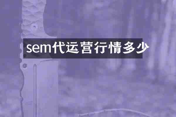 sem代运营行情多少