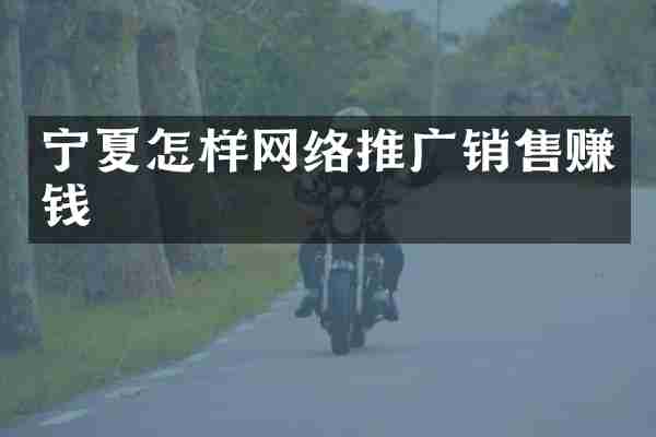 宁夏怎样网络推广销售赚钱