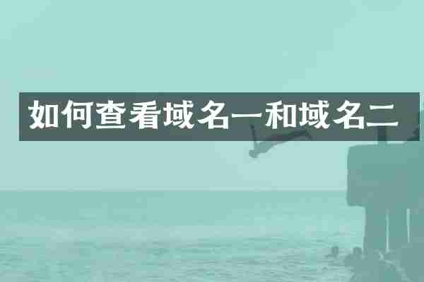 如何查看域名一和域名二