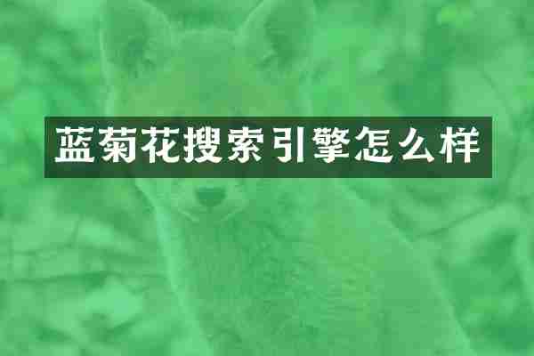 蓝菊花搜索引擎怎么样