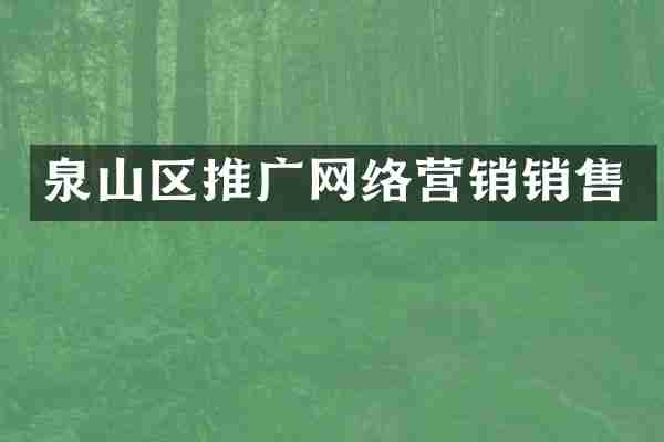 泉山区推广网络营销销售