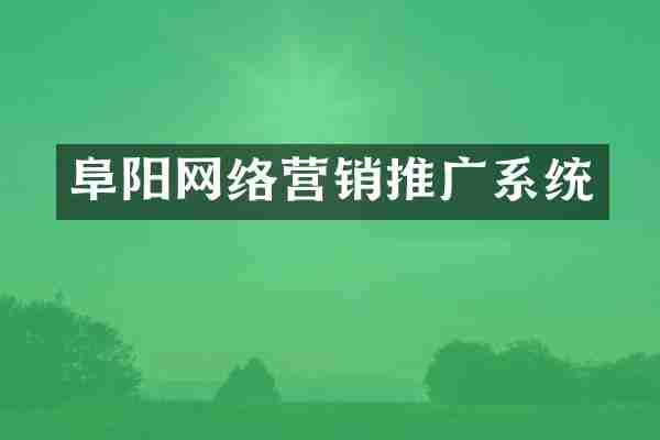 阜阳网络营销推广系统