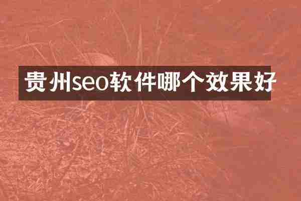 贵州seo软件哪个效果好