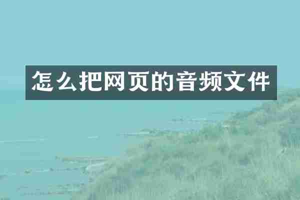 怎么把网页的音频文件