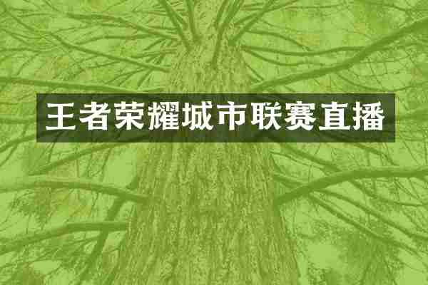 王者荣耀城市联赛直播