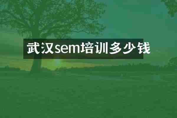 武汉sem培训多少钱