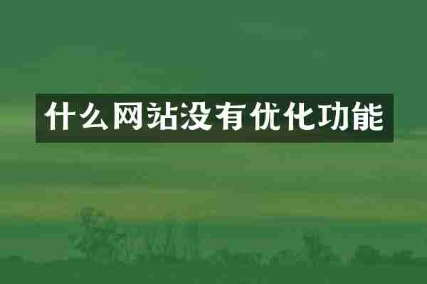 什么网站没有优化功能