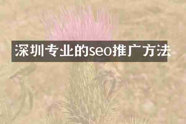 深圳专业的seo推广方法