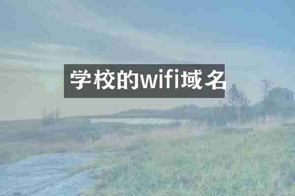 学校的wifi域名