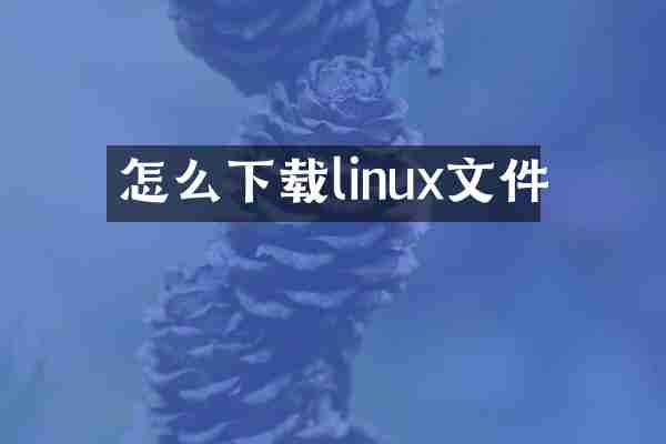 怎么下载linux文件