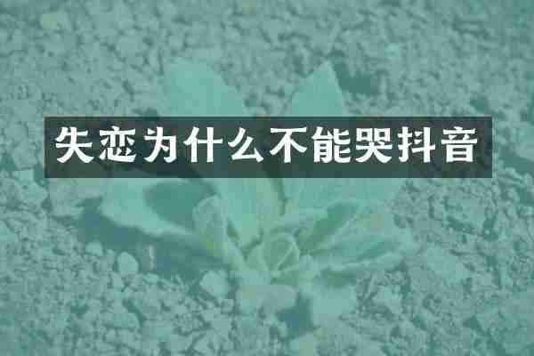 失恋为什么不能哭抖音