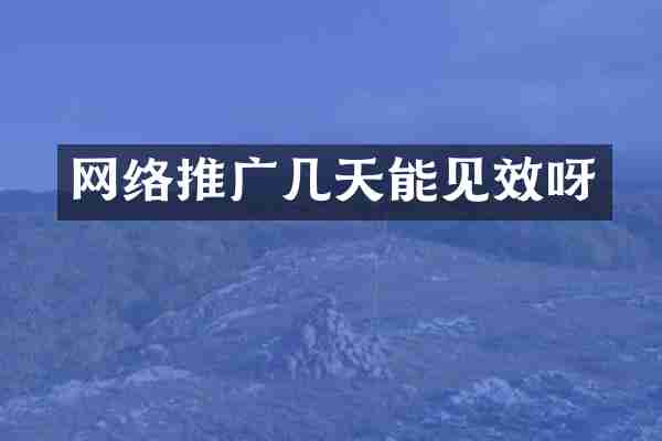 网络推广几天能见效呀