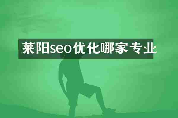 莱阳seo优化哪家专业