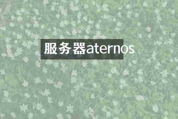 服务器aternos