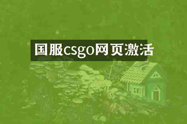国服csgo网页激活