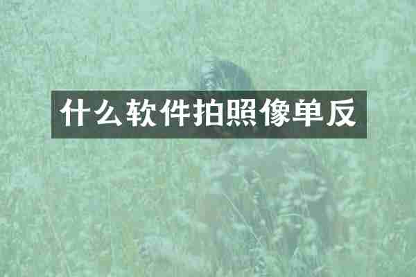 什么软件拍照像单反