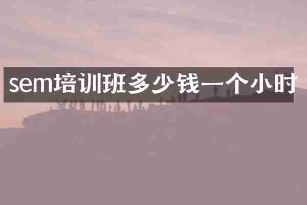 sem培训班多少钱一个小时