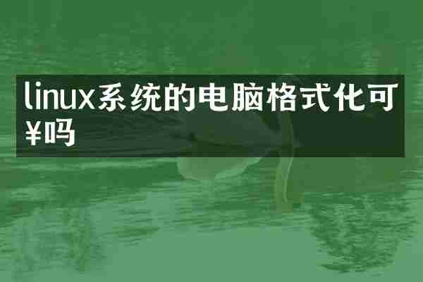 linux系统的电脑格式化可以吗
