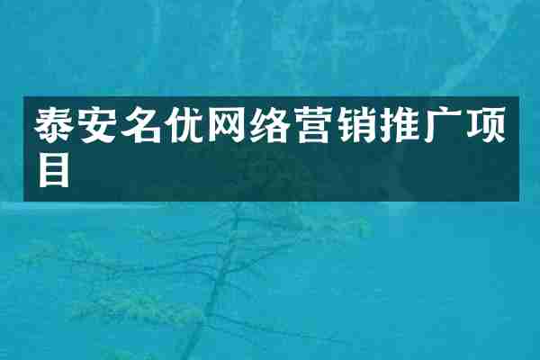 泰安名优网络营销推广项目