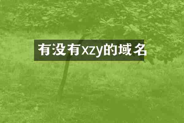 有没有xzy的域名