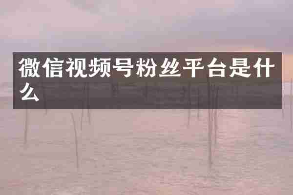 微信视频号粉丝平台是什么