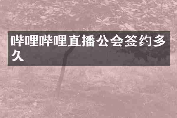 哔哩哔哩直播公会签约多久