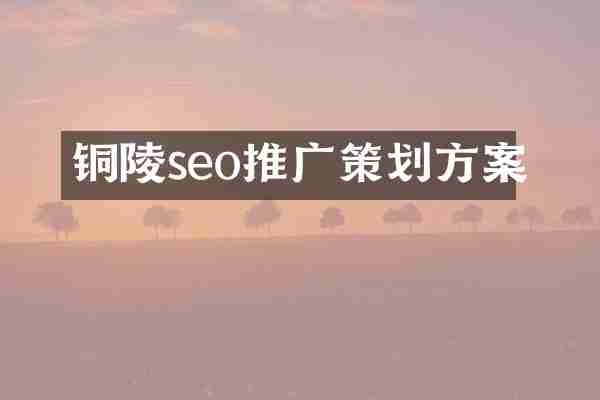 铜陵seo推广策划方案
