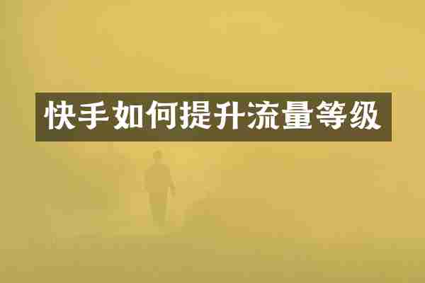 快手如何提升流量等级