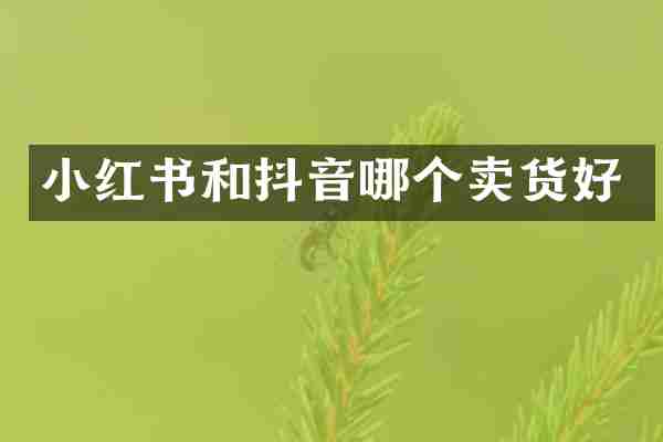 小红书和抖音哪个卖货好
