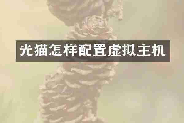 光猫怎样配置虚拟主机