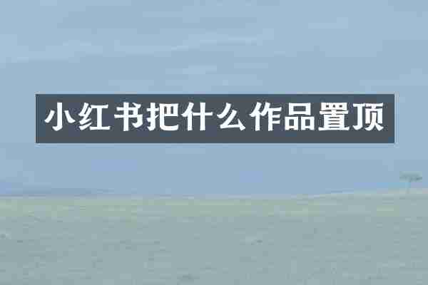 小红书把什么作品置顶