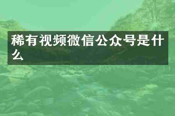 稀有视频微信公众号是什么