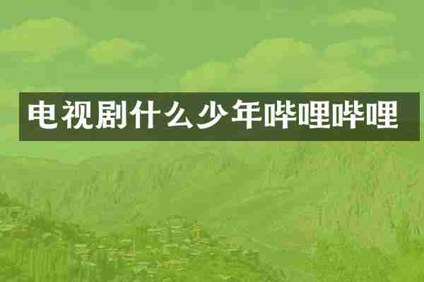 电视剧什么少年哔哩哔哩