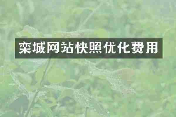 栾城网站快照优化费用