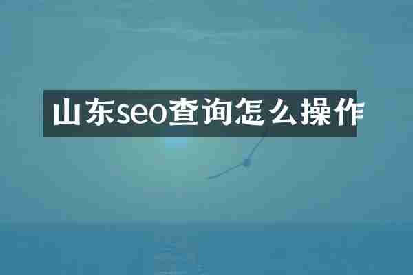 山东seo查询怎么操作