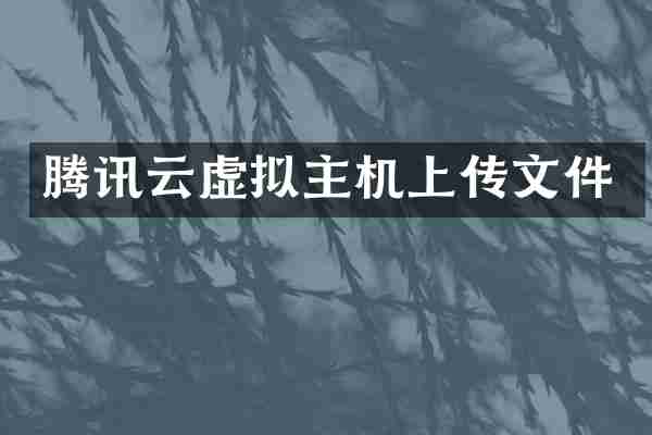 腾讯云虚拟主机上传文件