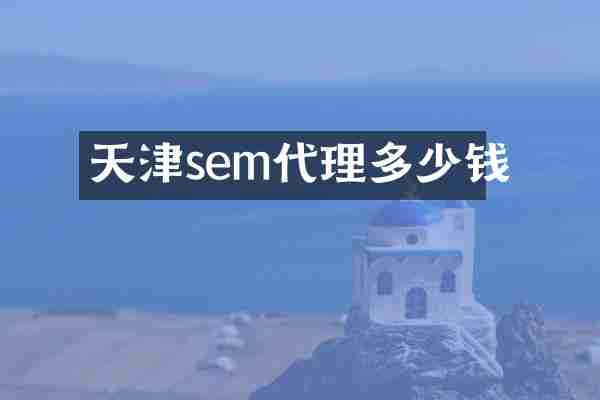 天津sem代理多少钱