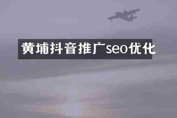 黄埔抖音推广seo优化