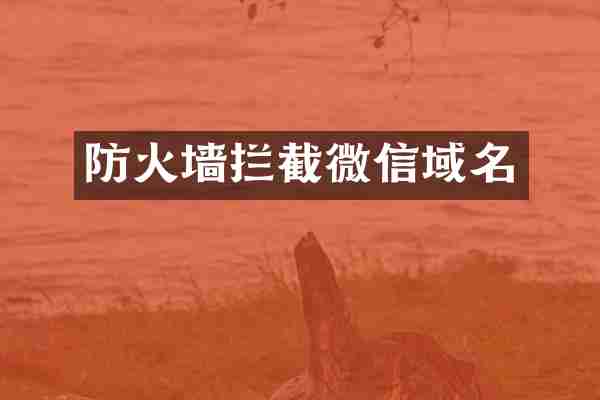 防火墙拦截微信域名