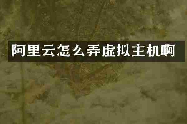 阿里云怎么弄虚拟主机啊