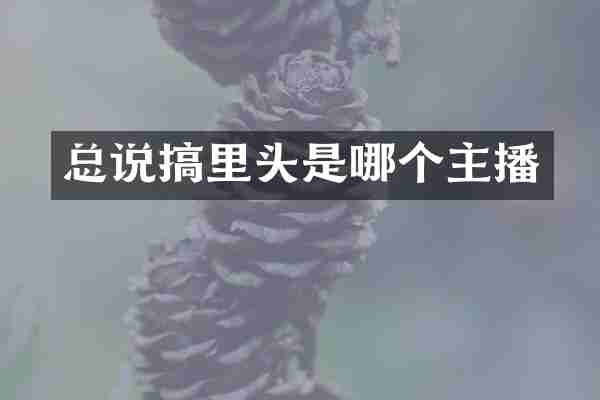 总说搞里头是哪个主播