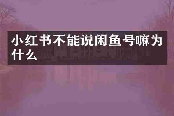 小红书不能说闲鱼号嘛为什么