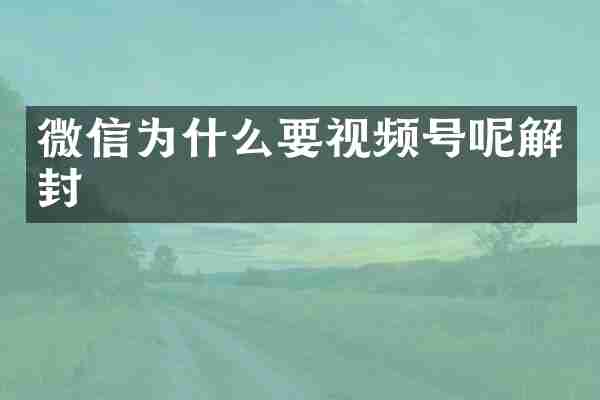 微信为什么要视频号呢解封
