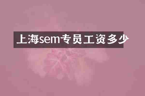 上海sem专员工资多少