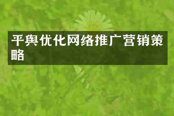 平舆优化网络推广营销策略