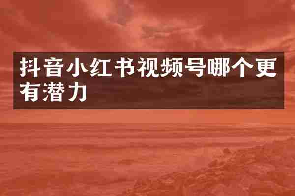 抖音小红书视频号哪个更有潜力