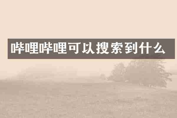 哔哩哔哩可以搜索到什么