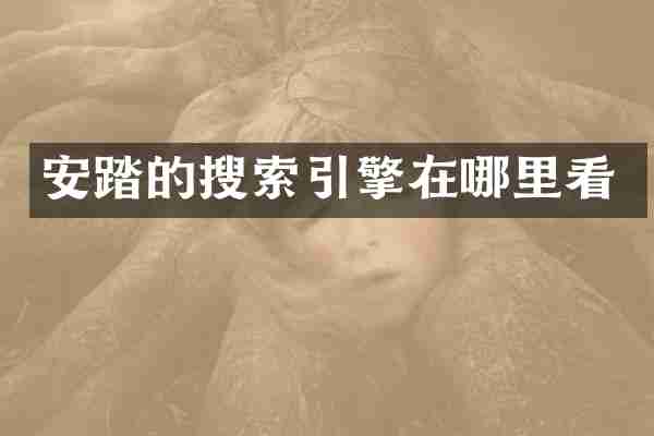 安踏的搜索引擎在哪里看